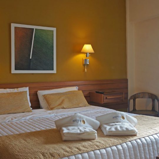 https://www.hotelsussexcba.com.ar/wp-content/uploads/2019/05/DSC02269_498887-540x540.jpg