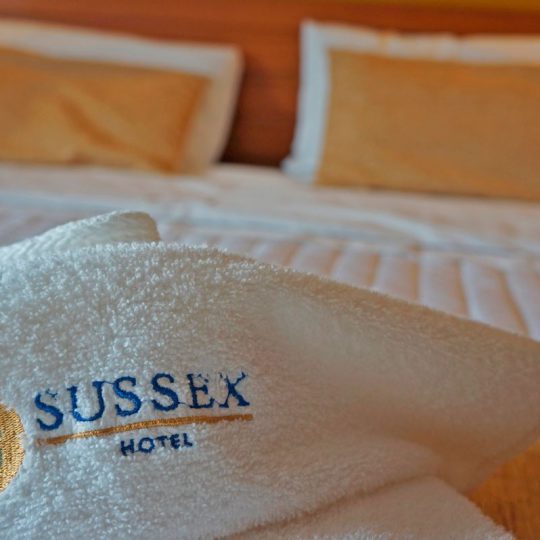 https://www.hotelsussexcba.com.ar/wp-content/uploads/2019/05/DSC02276_284371-1-540x540.jpg